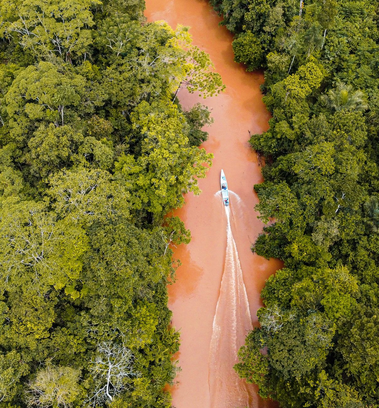 Natureza exuberante do ecoturismo brasileiro